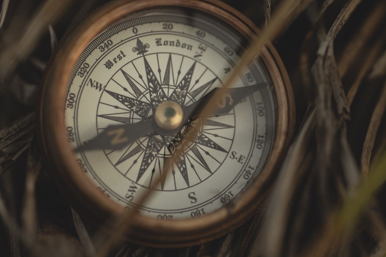 #011 - The True Anatomy of Purpose