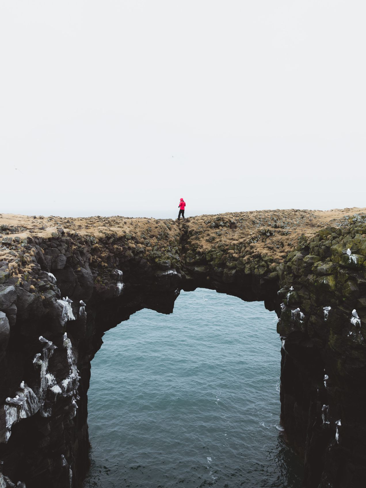 Mood: finding my footing on my own bridge. | Art by Kyler Troutner on Unsplash