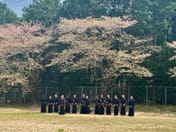 On Samurai Training and Being a Cell to a Larger Organism