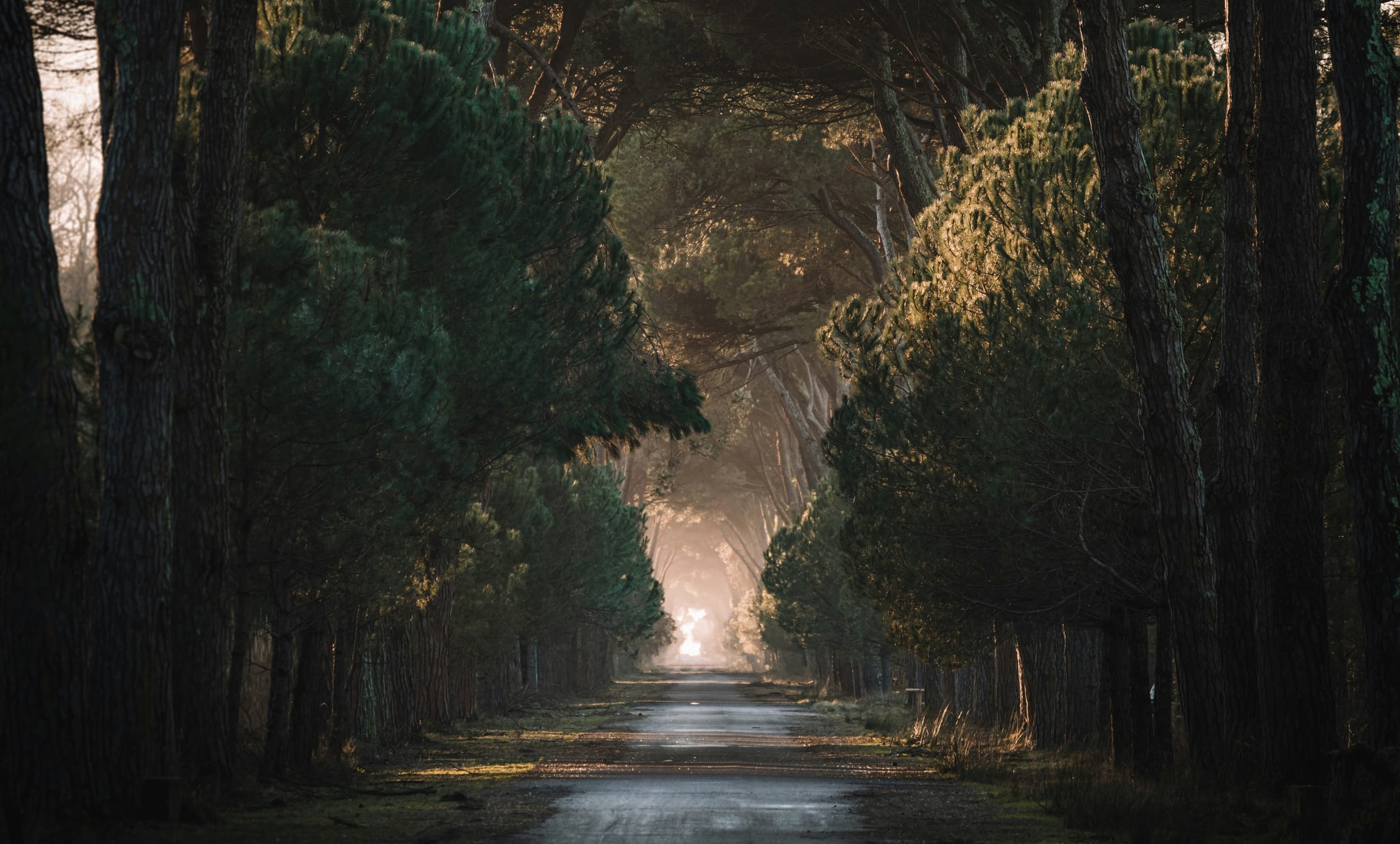 "The door is round and open. Don't go back to sleep" | Art by Federico Di Dio on Unsplash