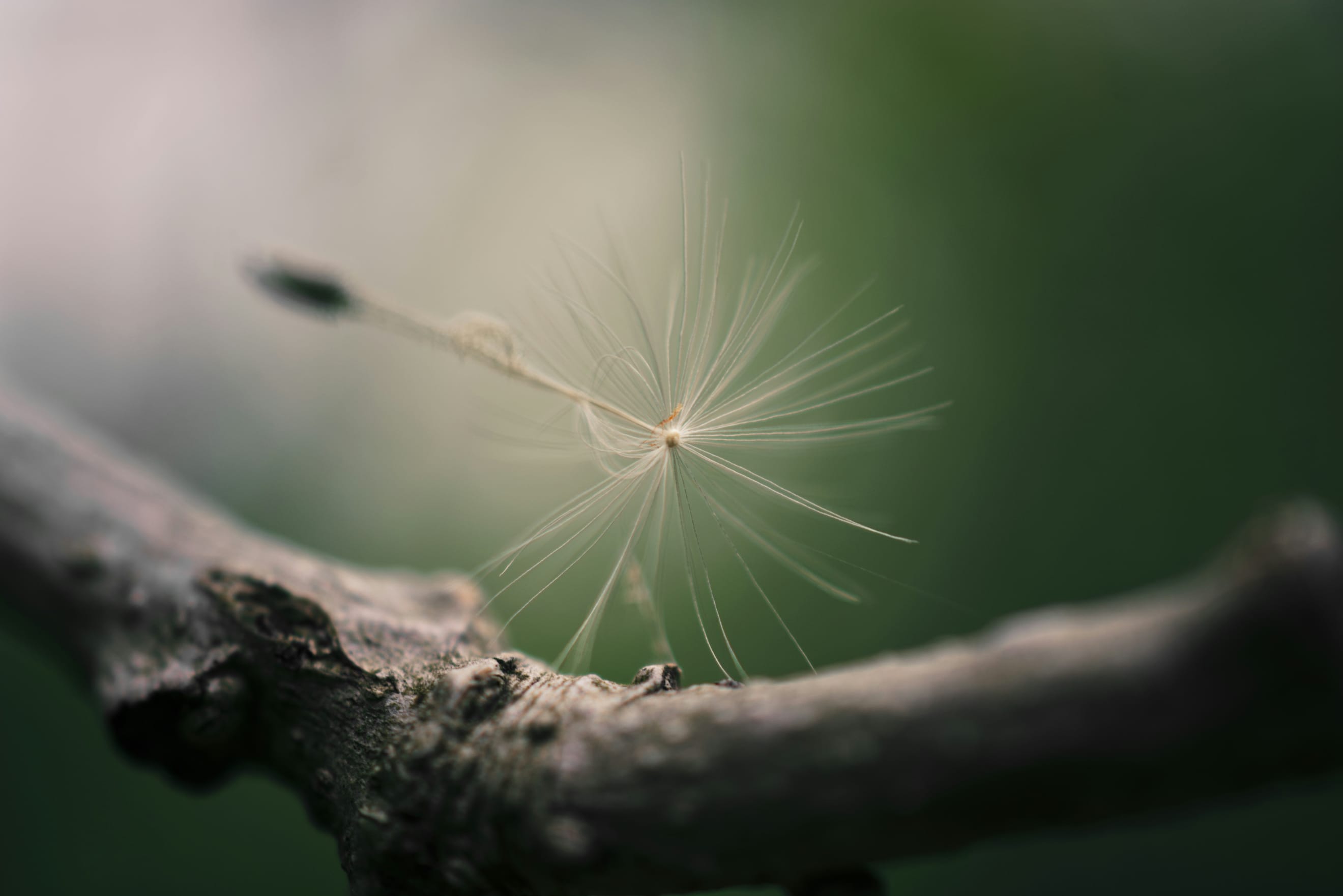 On Letting the Old Paradigm go.